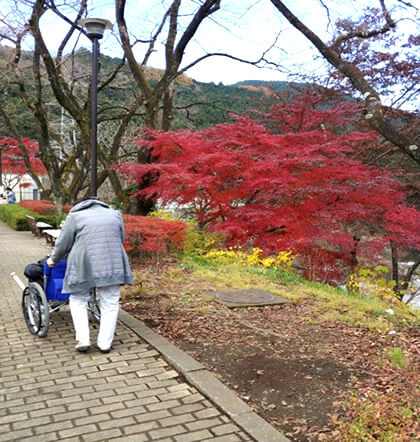 美しい紅葉を楽しむご参加者の様子